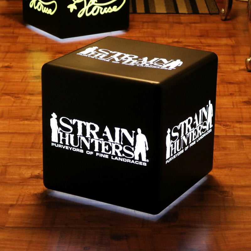Individualisierte LED Standleuchte Hocker, Tisch Sitz, Lampe Display-Sign, Leuchtwerbung mit Logo