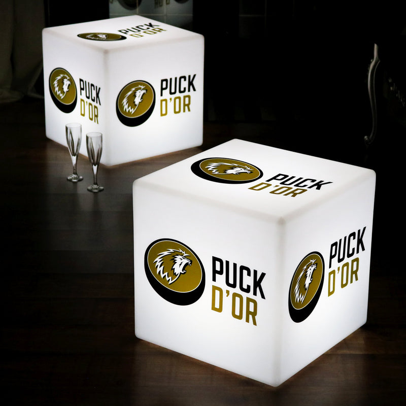 Werbe-Display hintergrundbeleuchtet, Würfel mit Markenlogo, 20 cm Leuchtreklame mit Personalisierung